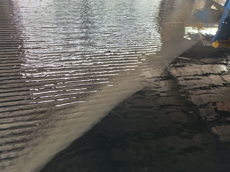 ҡ�������¶���ε��ڣ�